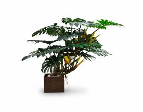 Planta Campanilla Con Macetera Para Interiores 79\