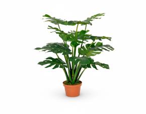 Planta Mano De León Con Macetera Para Interiores 39”