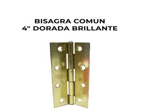Bisagra Comun 4\