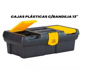 Cajas Plásticas C/Bandeja 13\