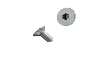 Tornillo  M4-0.70X8  Allen  Cabeza Plana Inox 304