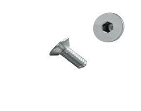 Tornillo  M4-0.70X10  Allen Cabeza Plana Inox 304
