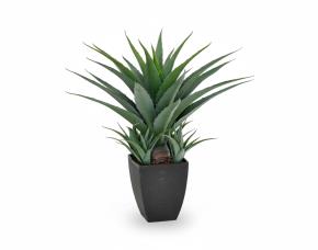 Planta Dracena Con Macetera Par Ainteriores 29”