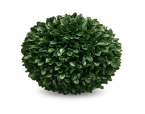 Planta Tipo Esfera Lt Con Uv 16\