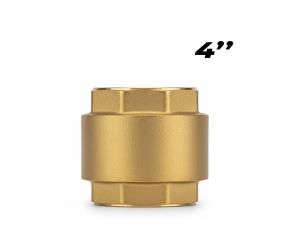 Valvula De Check Bronce Vertical 4\