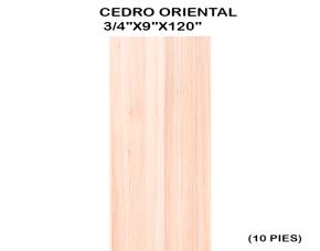 Regla De Cedro Oriental 3/4\