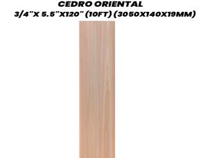 Regla De Cedro Oriental 5.5\