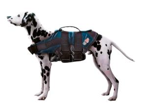 Chaleco Salvavidas P/Perros Color Azul Lago