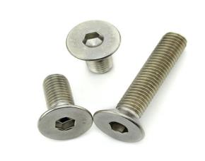 Tornillo M8X20 Ss Concabeza Interno Hexagonal Ac.inoxidable  Aisi316
