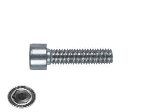 Tornillo   1/4-20X3/4 Allen Cabeza Cilindrico  Inox 304