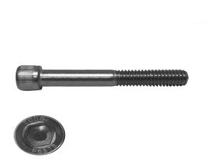 Tornillo M8-1.25X70 Allen Cabeza Cilindrico Inox 304