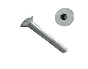 Tornillo M4-0.70X25 Allen Cabeza Plana Inox 304