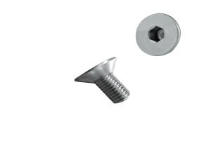 Tornillo  M5-0,80X10 Allen  Cabeza Plana Inox 304