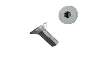 Tornillo  M5-0,80X12 Allen Cabeza Plana Inox 304