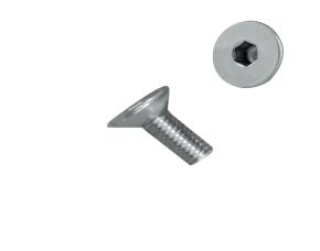 Tornillo M8-1,25X20  Allen Cabeza Plana Inox 304