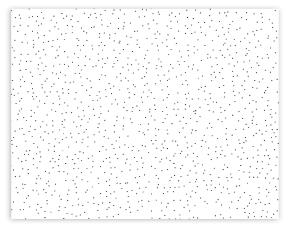 Lamina 1/2 Fibra Mineral 2X4