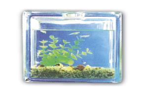 Bloque Vidrio T/Pecera P/Manualidades 8X8X3\